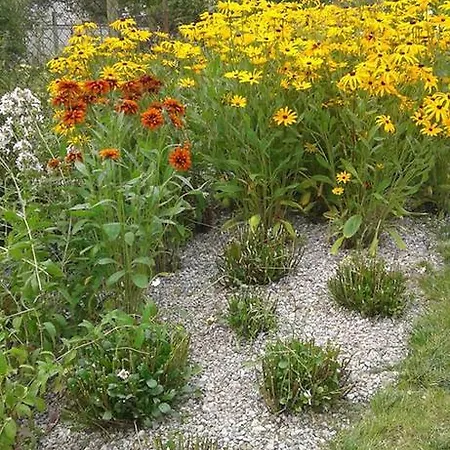 Apartament Emilia Rużomberk